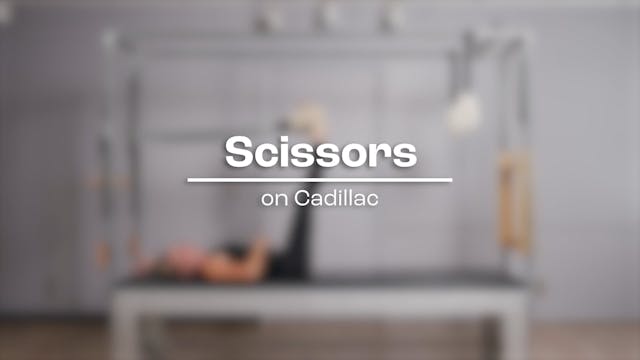 29 - Scissors.mp4