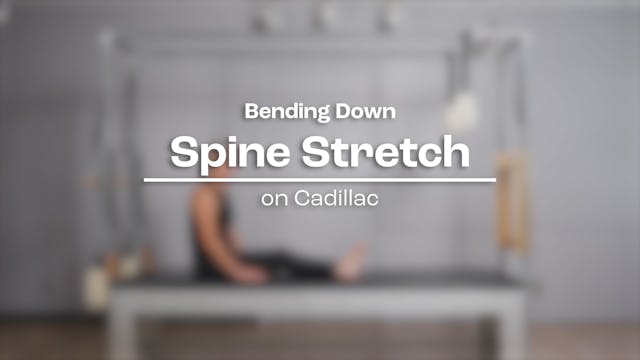 48 - Bending Down - Spine Stretch.mp4