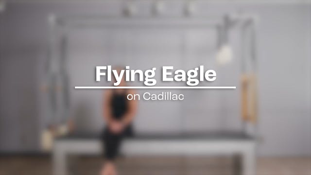 44 - Flying Eagle.mp4