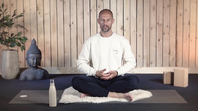 Video: Meditation how to deal with a threat (7 minutes)