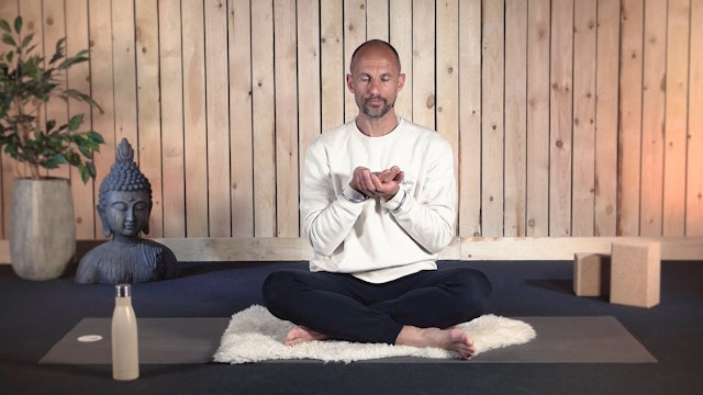 Video: Meditation for the Negative Mind (3 minutes)