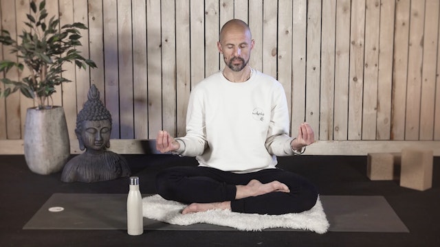 Video: Meditation how to deal with a threat (7 minuten)