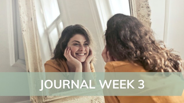 Self Reflection: Journal week 3