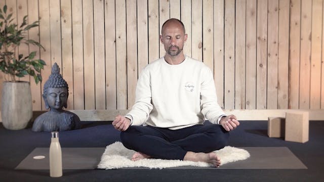 Video: Meditation for the Negative Mi...