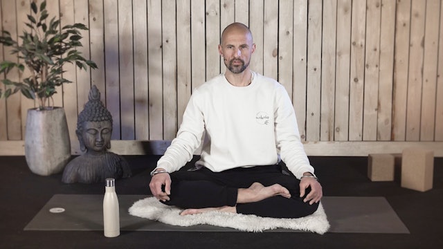 Video: Meditation to Alleviate Stress (11 minuten)