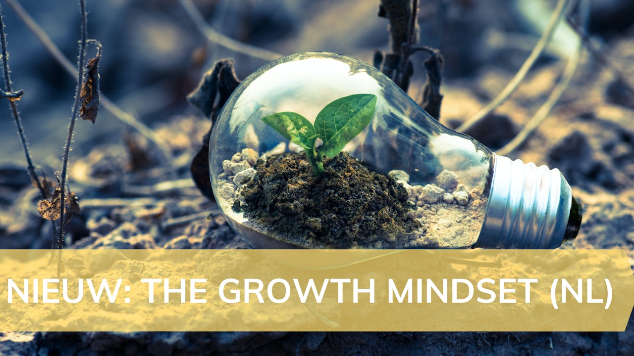 Nieuw: The Growth Mindset (NL)