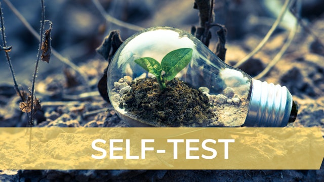Self-test: The Growth Mindset