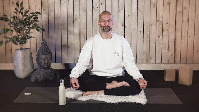 Video: Meditation how to deal with a threat (3 minuten)