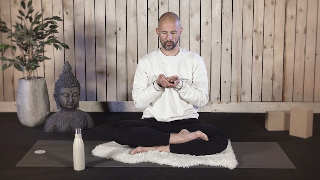 Video: Meditation for the Negative Mind (3 minuten)