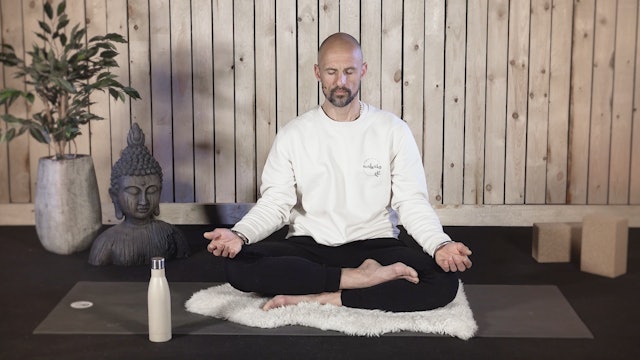Video: Meditation for the Negative Mind (11 minuten)