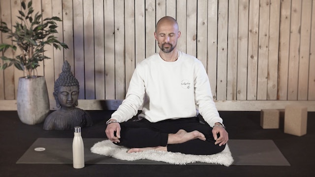 Video: Meditation to Alleviate Stress (3 minuten)