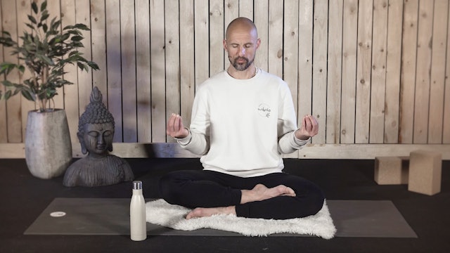 Video: Meditation how to deal with a threat (11 minuten)