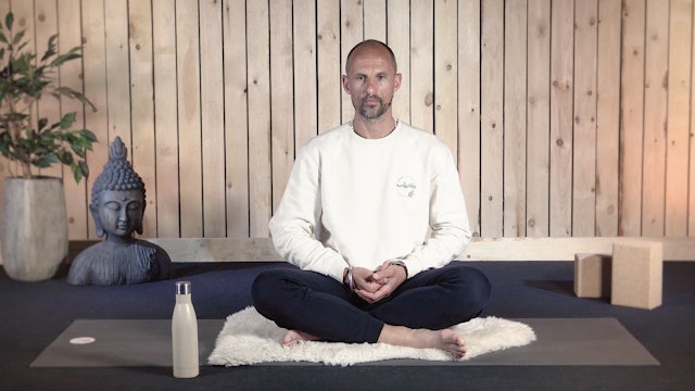 Video: Meditation how to deal with a threat (11 minutes)