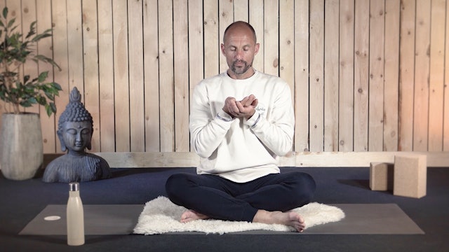 Video: Meditation for the Negative Mind (11 minutes)