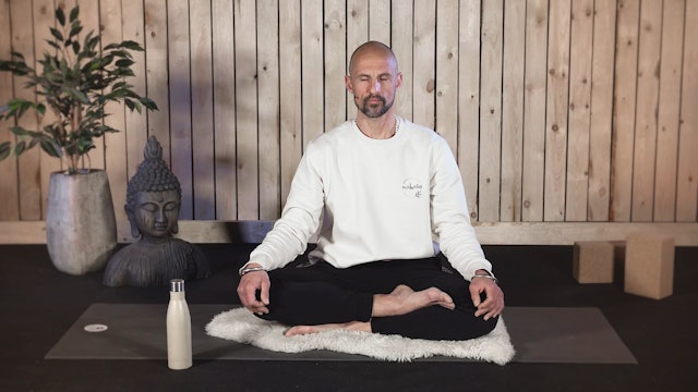 Video: Meditation to Alleviate Stress (7 minuten)