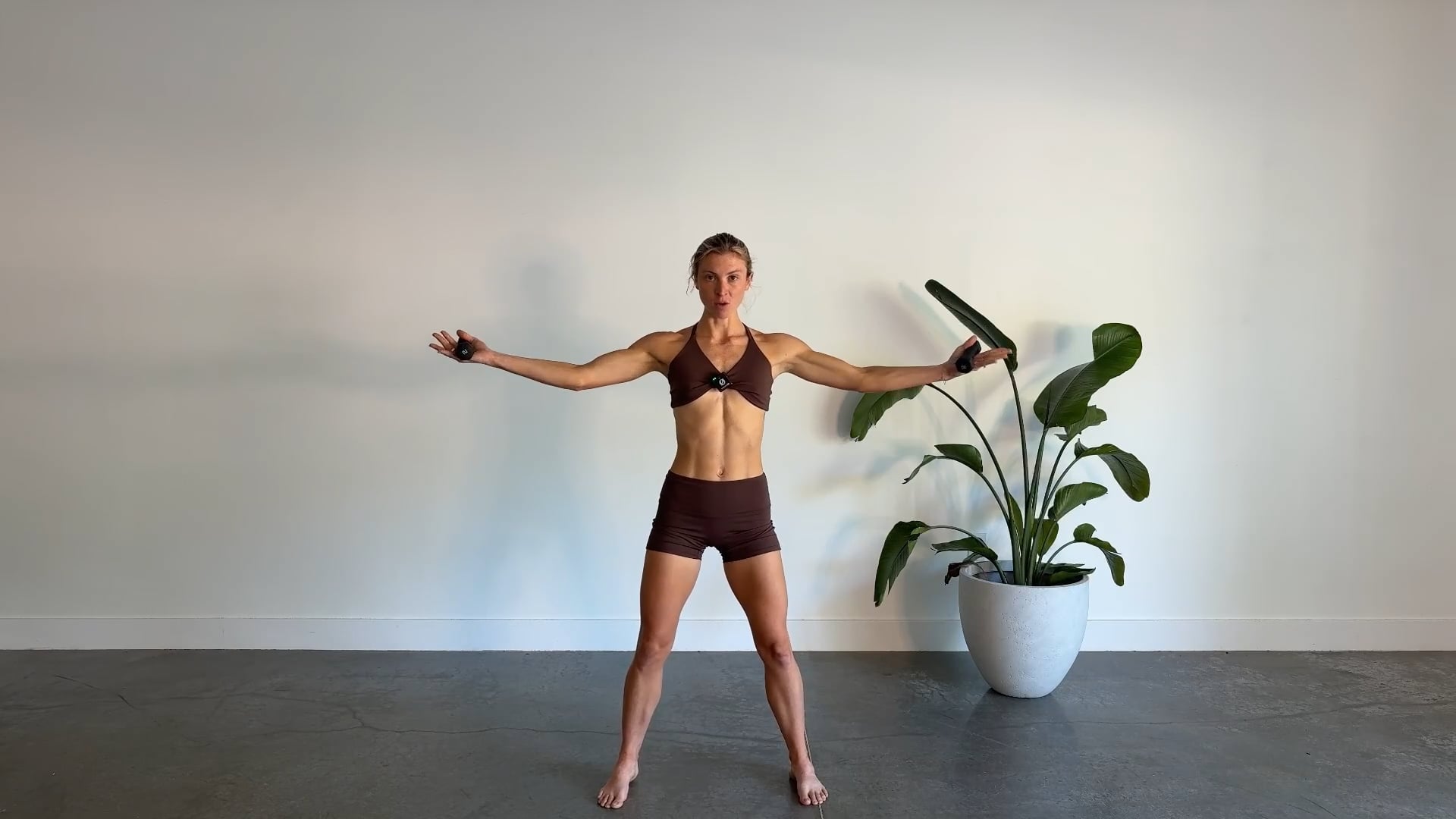 12 Minute Arms