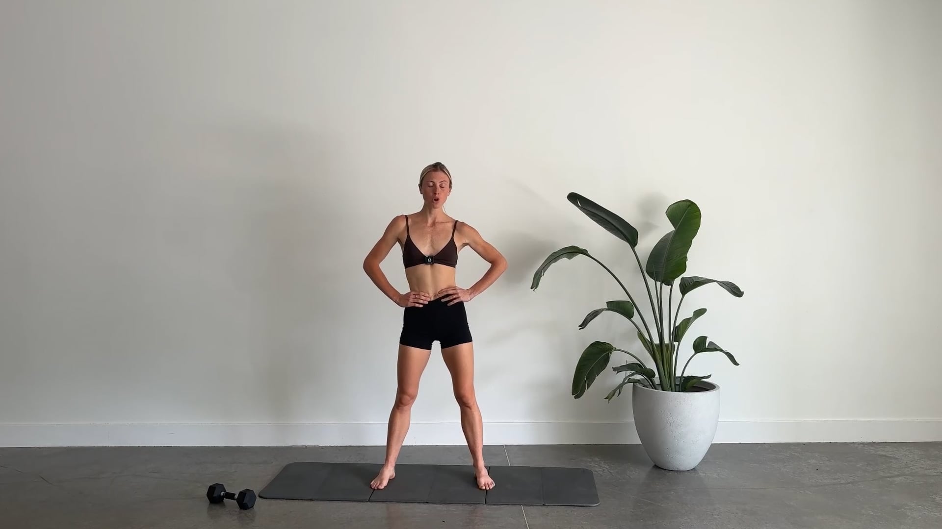 27 Minute Quickie Inner Thighs & Obliques