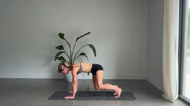 20 Minute Abs