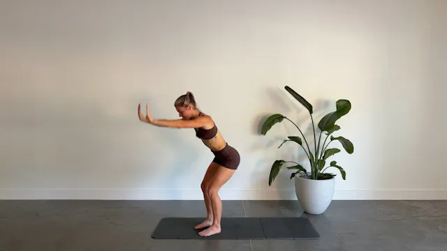 11 Minute No Equipment Arms