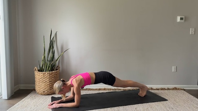 12 Minute Plank Abs