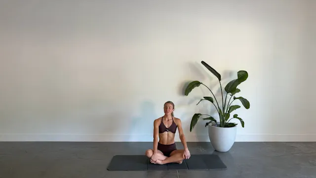 11 Minute No Equipment Arms