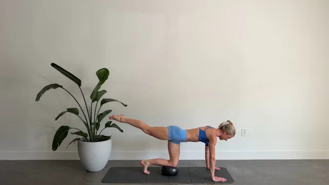 23 Minute Quickie Full Body Tone
