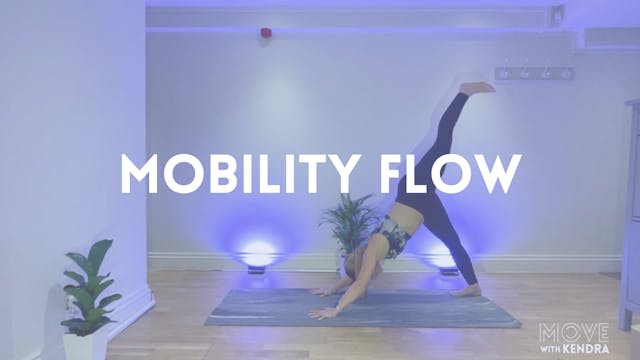 MOBILITY FLOW