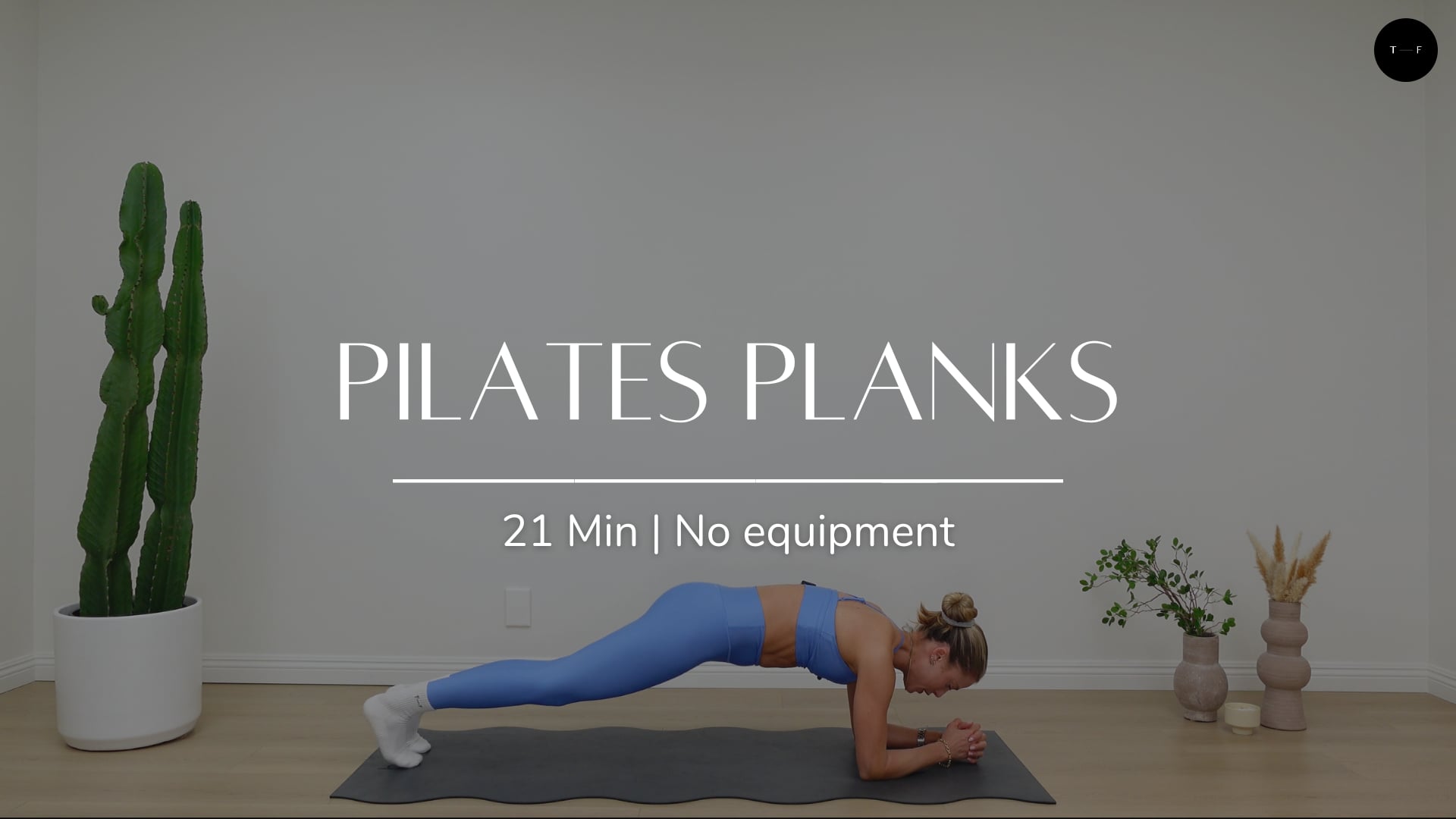 Pilates Planks