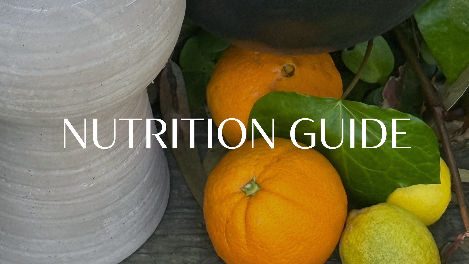Nutrition Guide