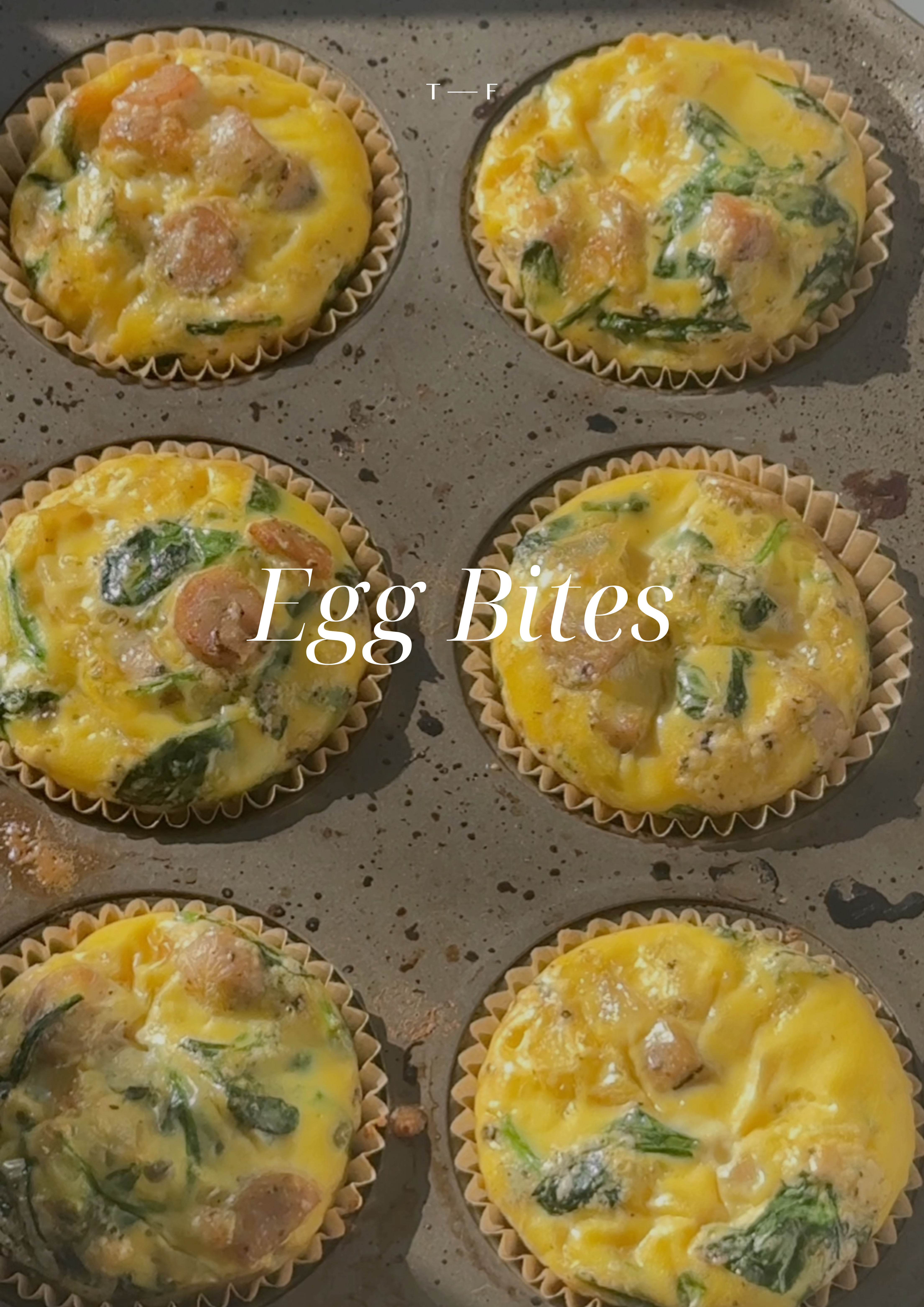 Egg Bites
