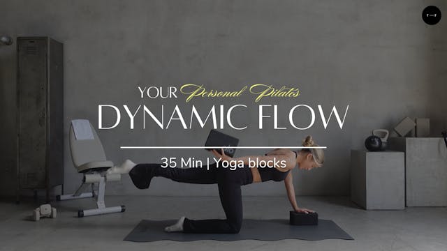 Dynamic Flow | DAY 20