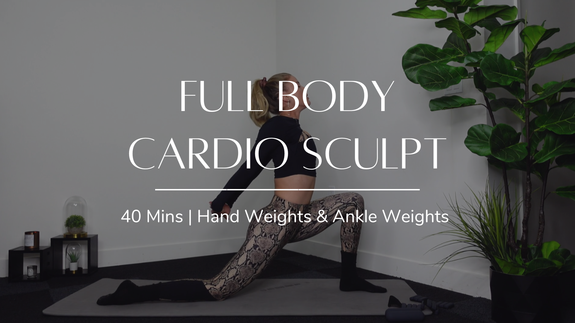 Full Body Cardio Sculpt