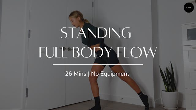 Standing Full Body Flow