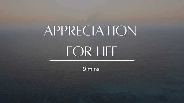 Appreciation for Life