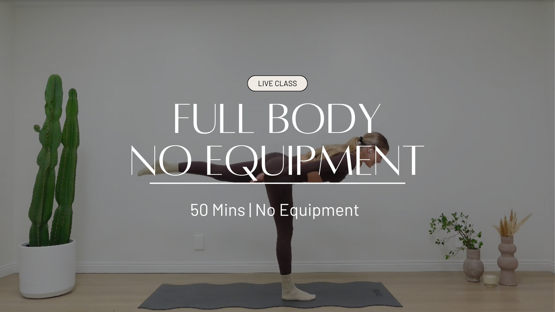 LIVE Full Body No Equipment
