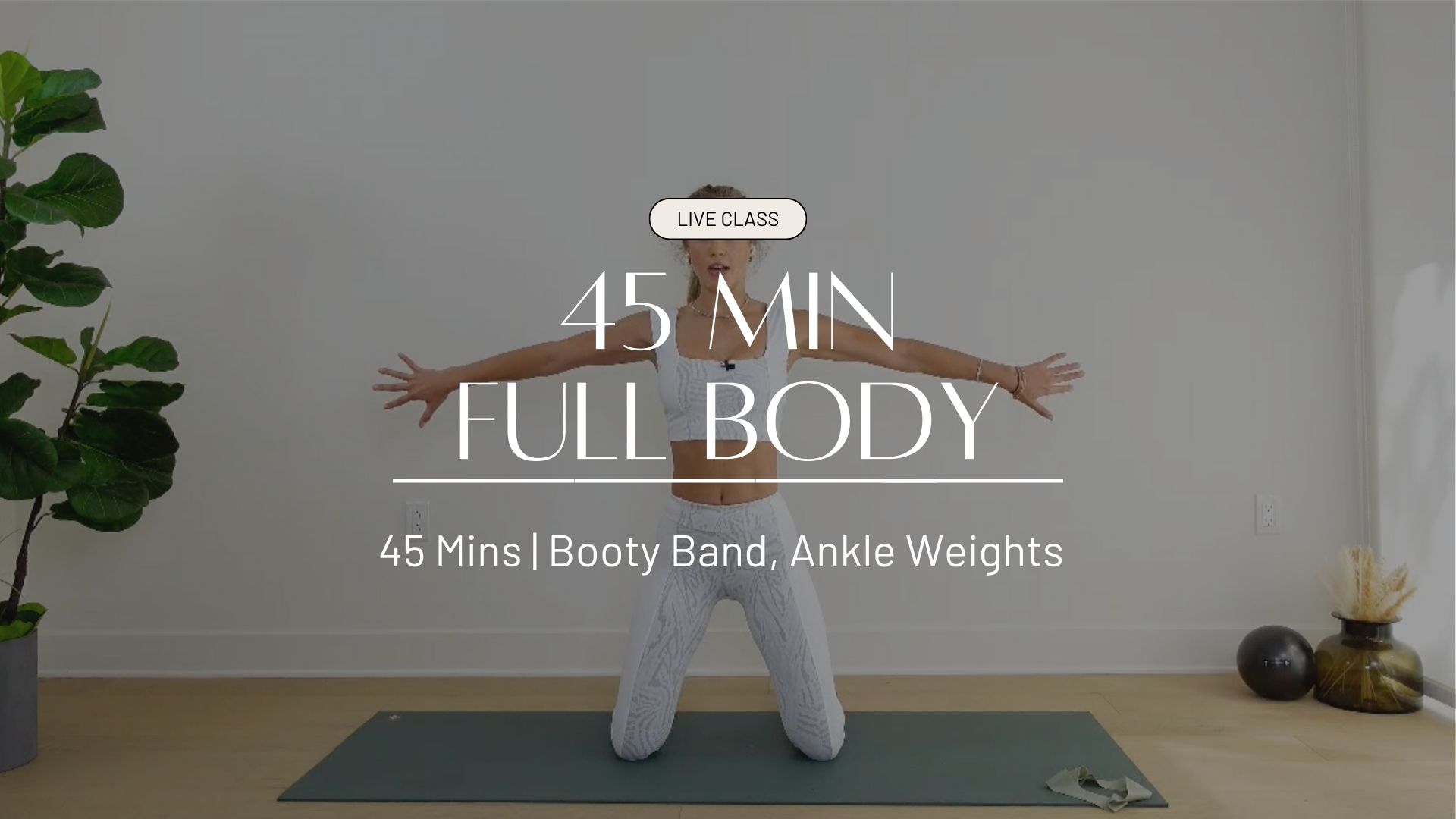 LIVE 45 min Full Body 