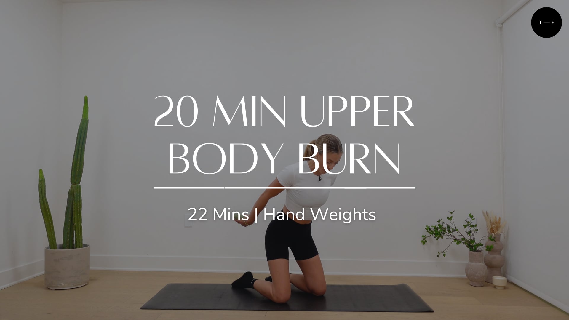 20 Min Upper Body (WEDNESDAY)