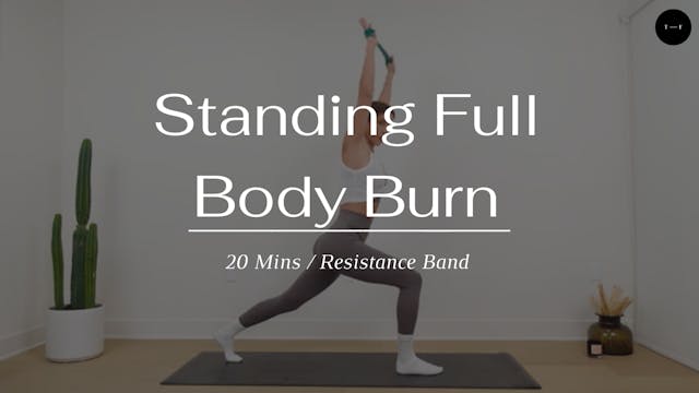 Standing Full Body Burn