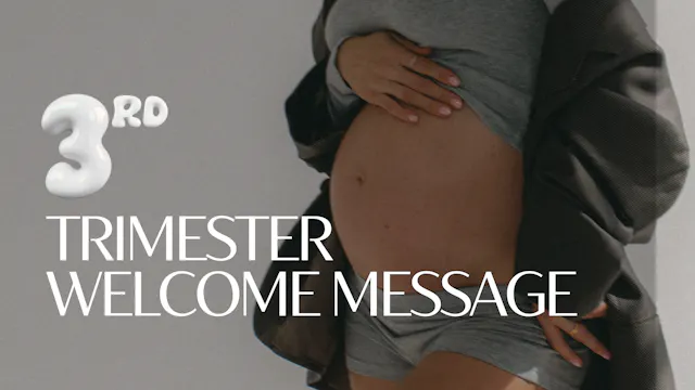 Your Third Trimester Introduction