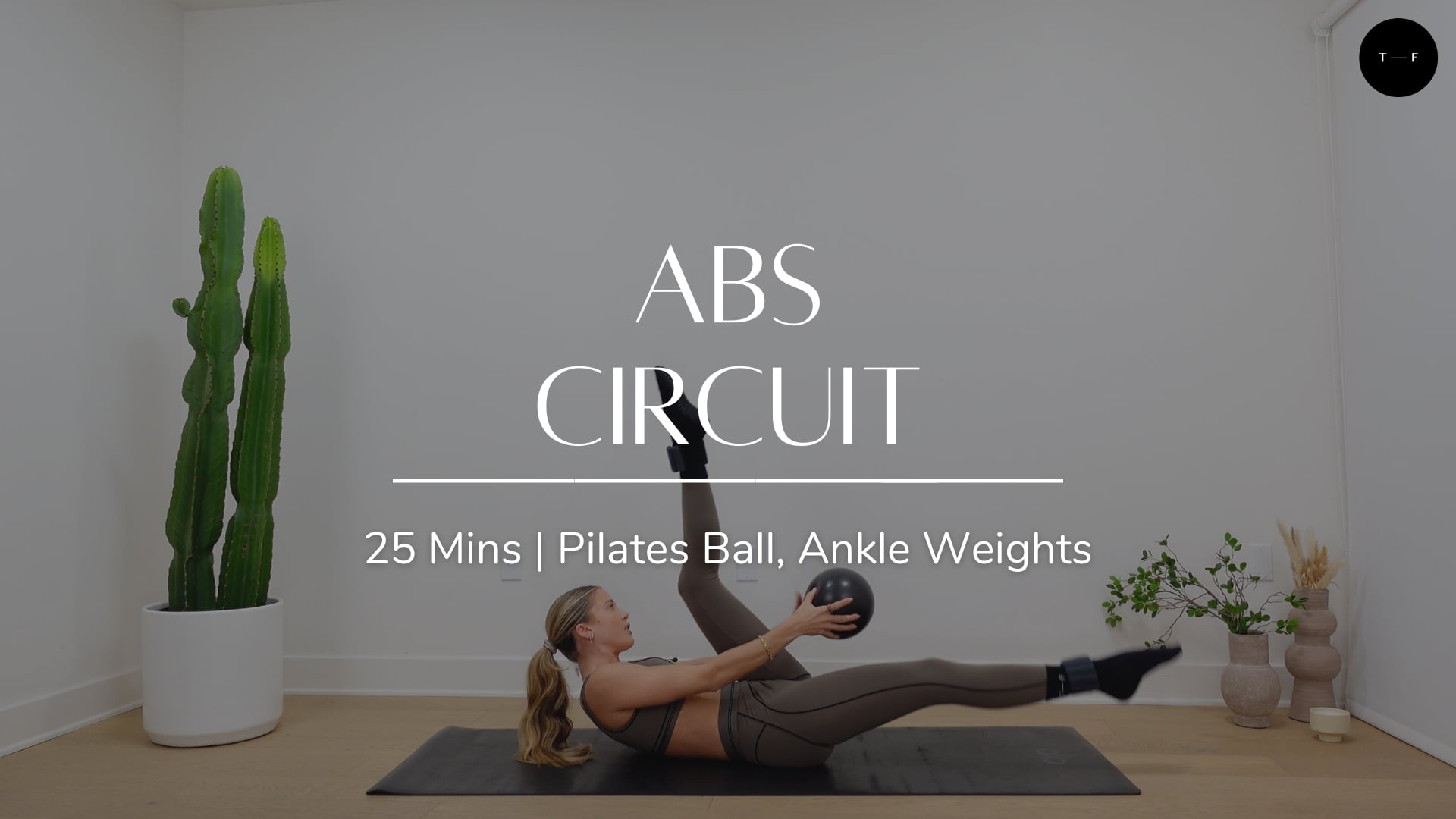 Abs Circuit (FRIDAY)