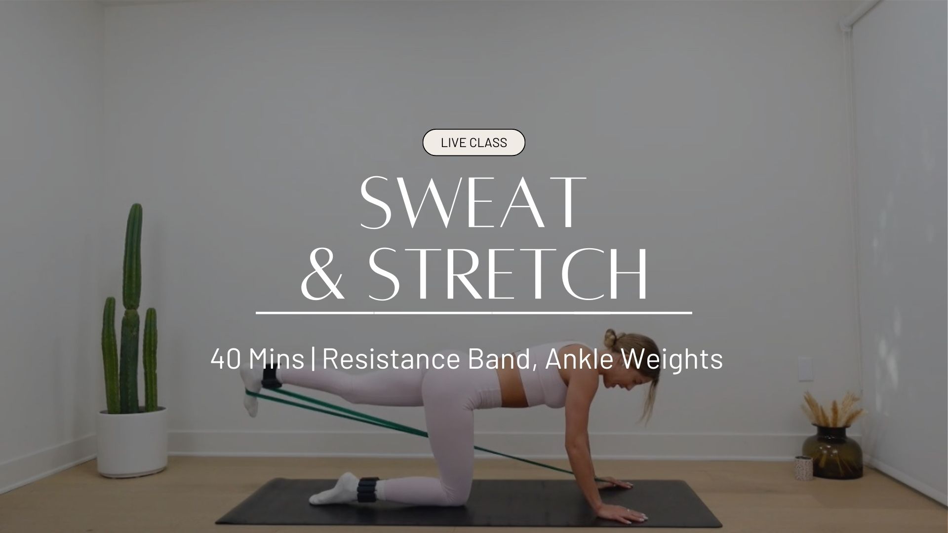 LIVE Sweat & Stretch