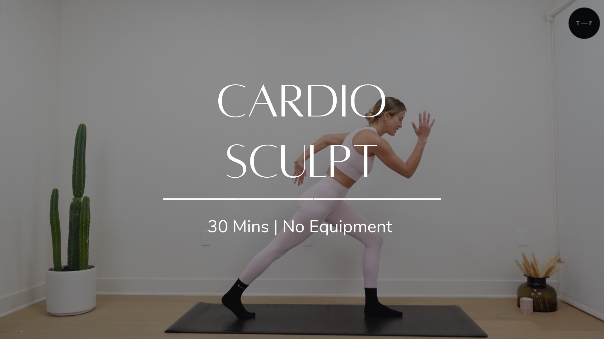 Cardio Sculpt (DAY 20 OF 25)