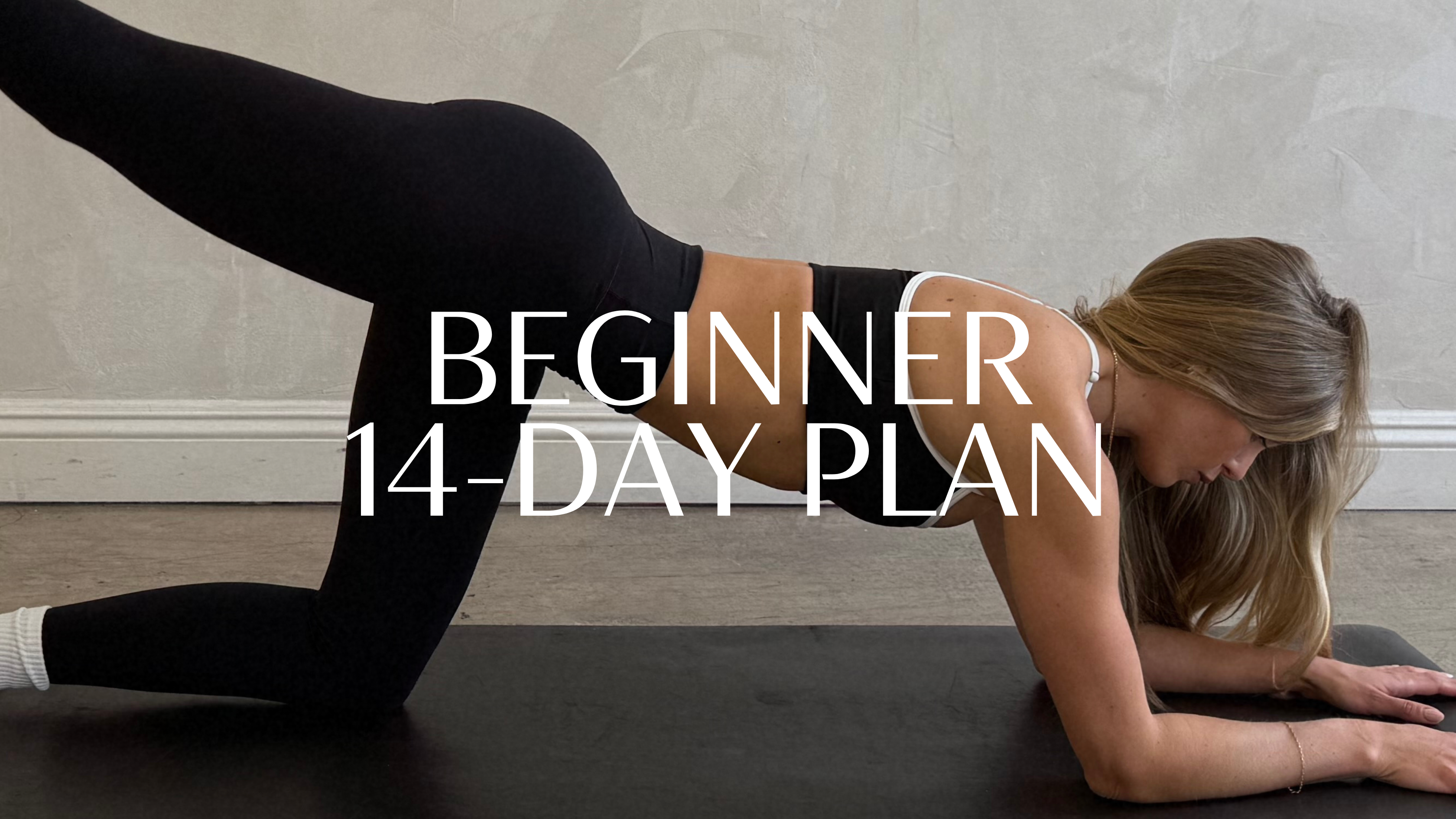 14-DAY PLAN