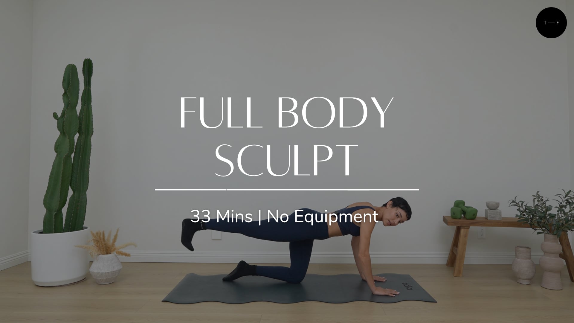 Full Body Sculpt