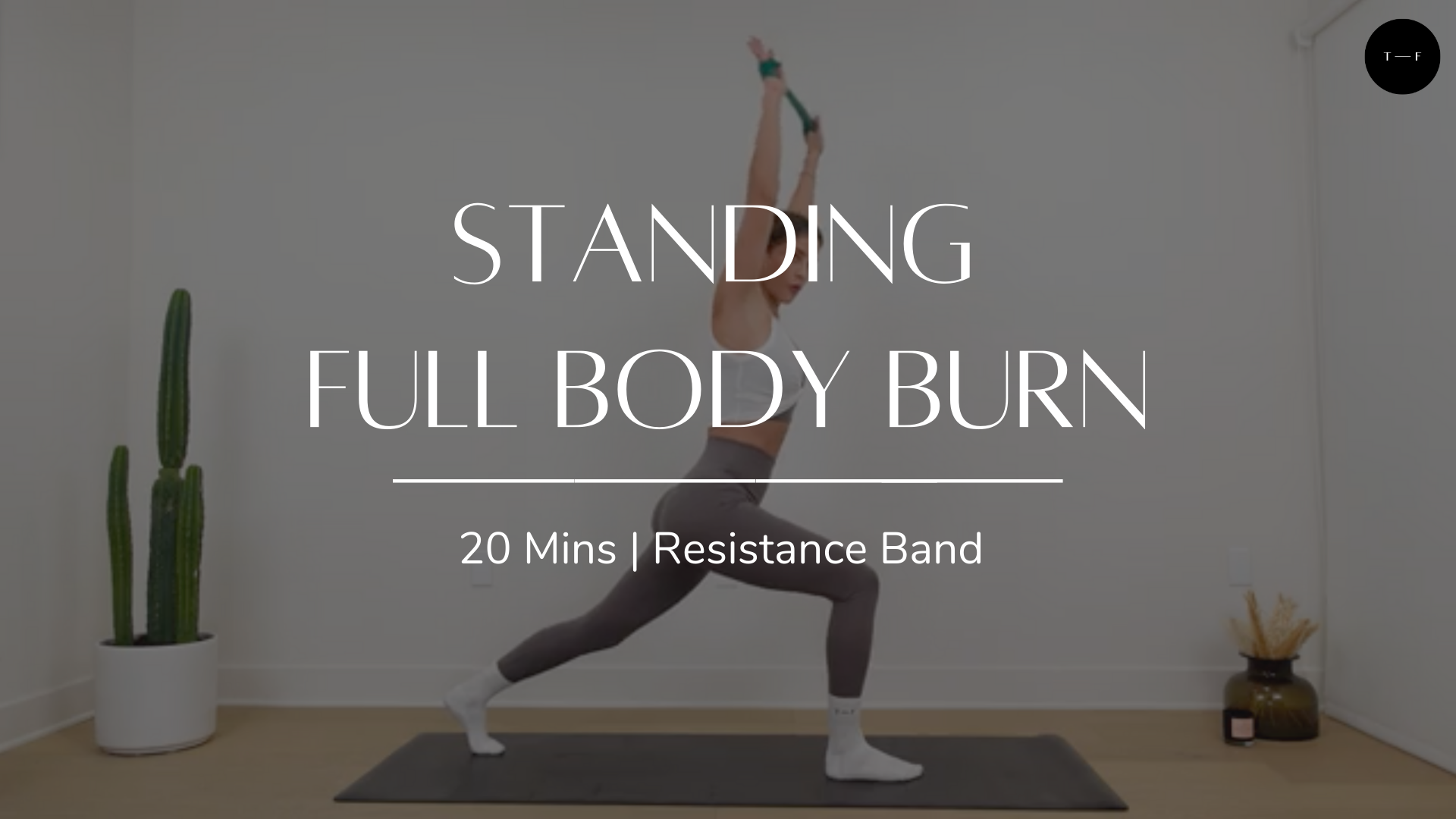 Standing Full Body Burn