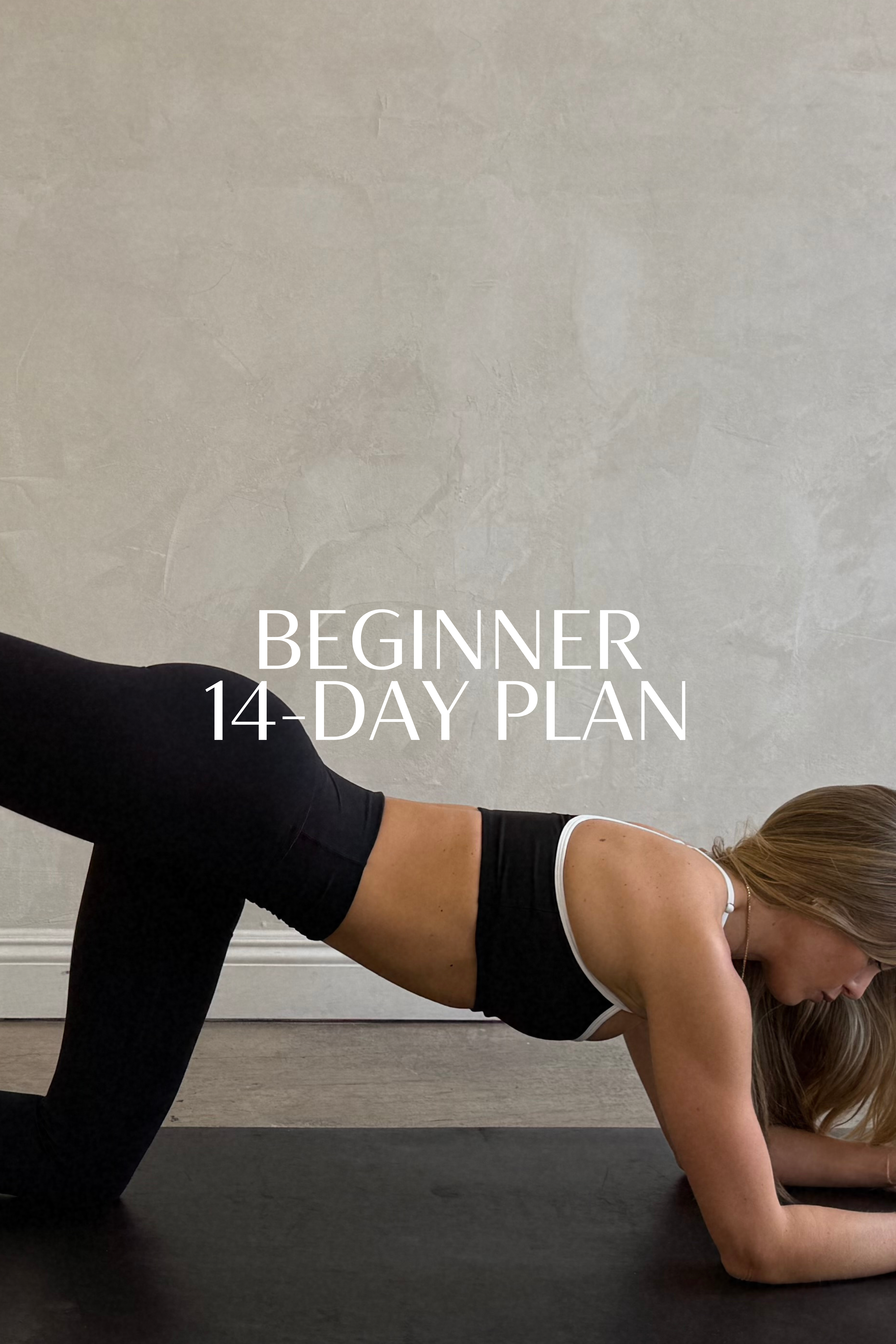 14-DAY PLAN