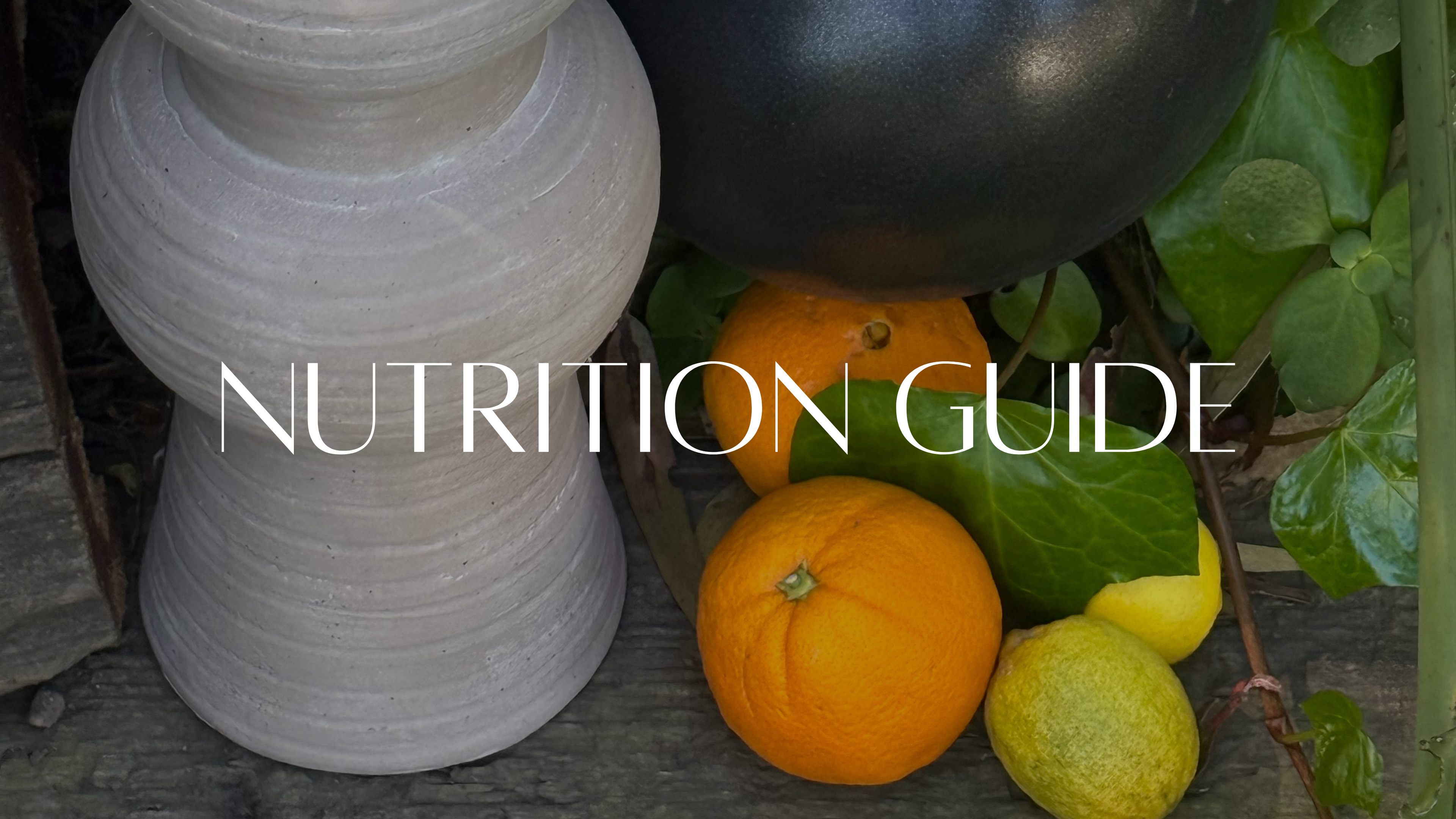 Nutrition Guide