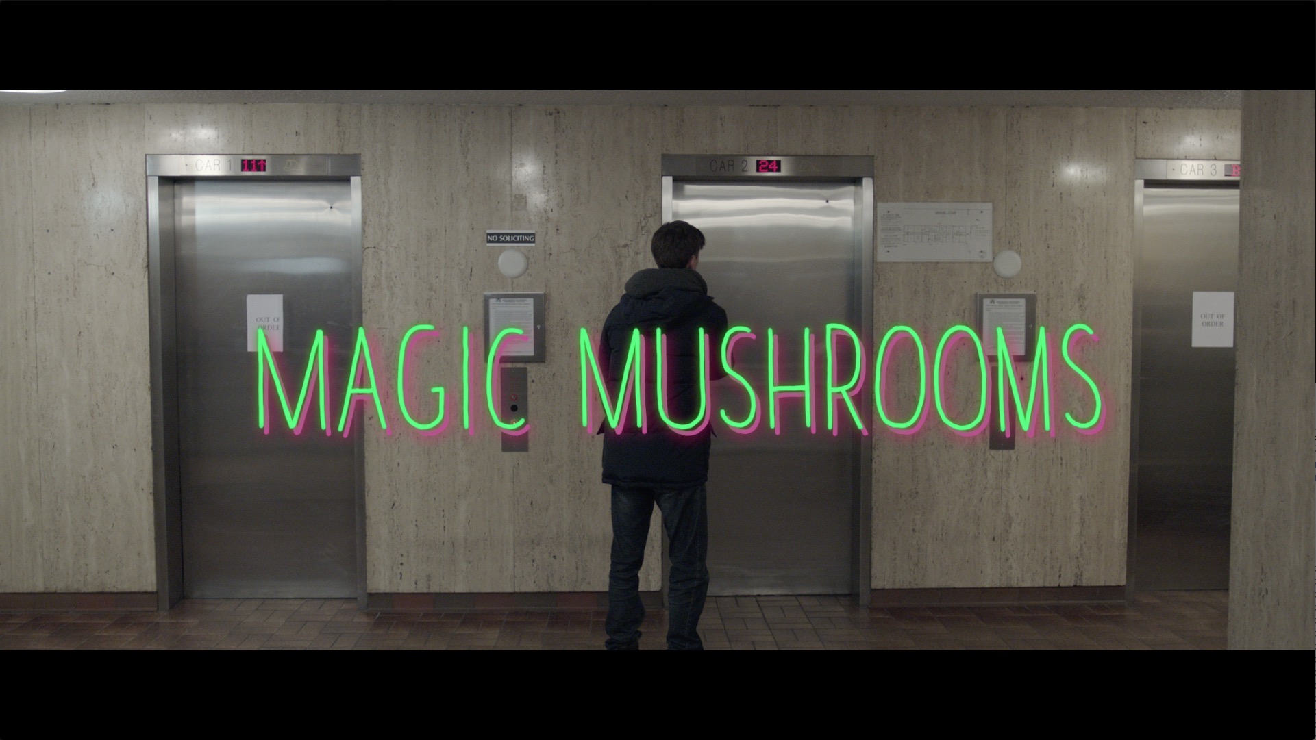 Magic Mushrooms