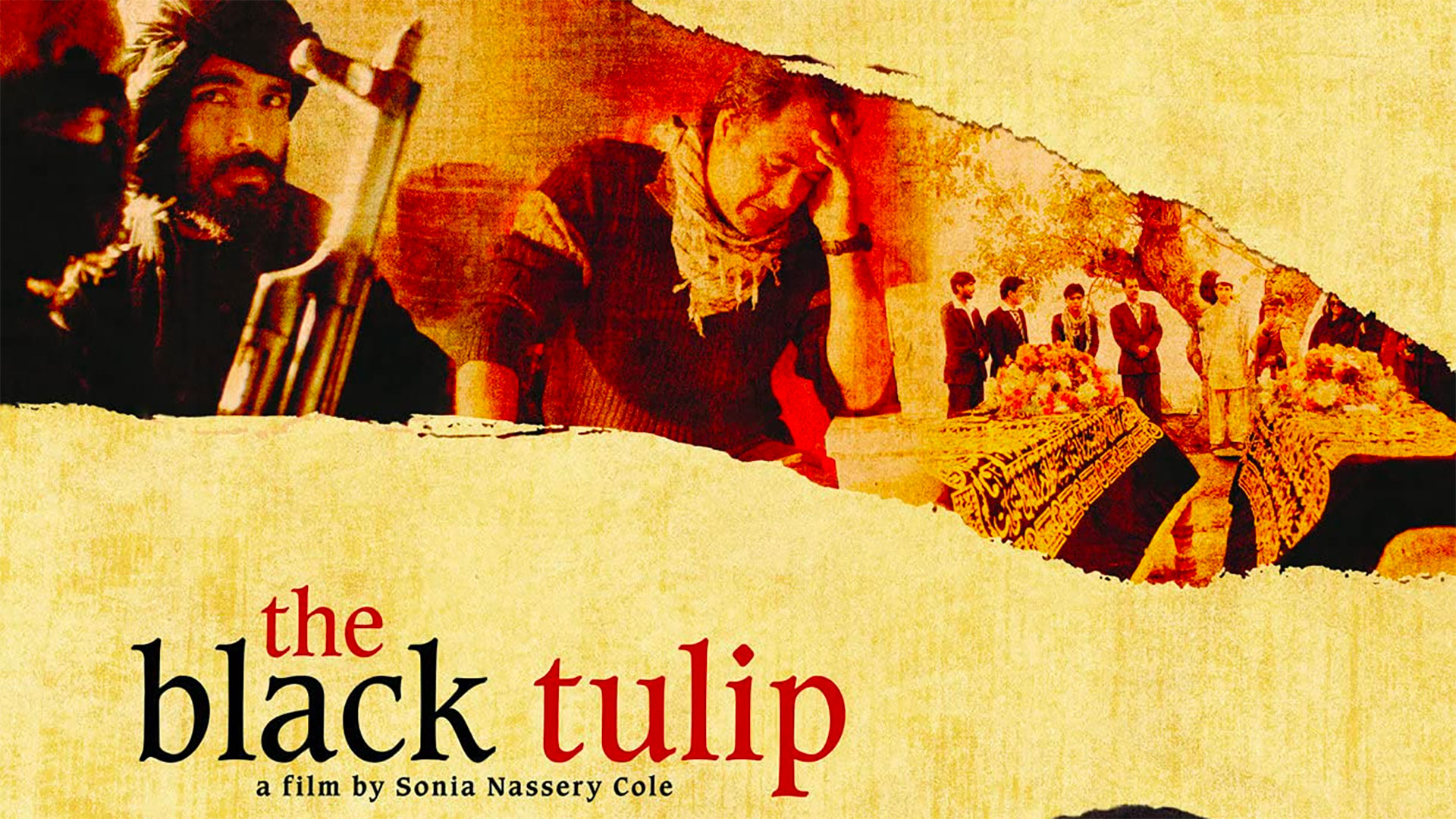 The Black Tulip