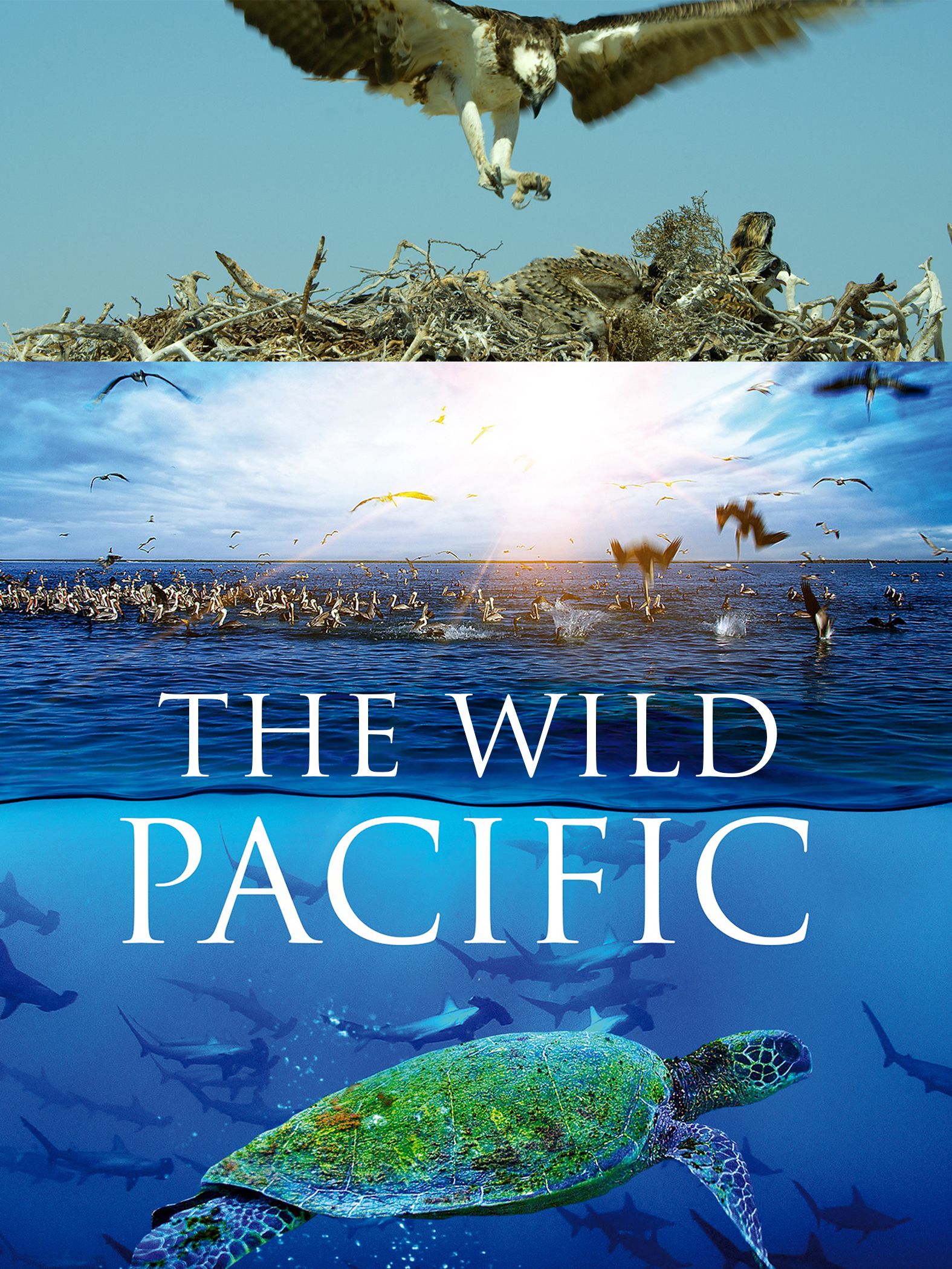 The Wild Pacific